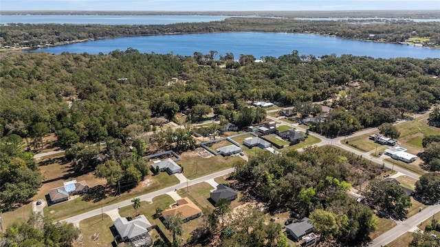 bird's eye view with a water view and a forest view