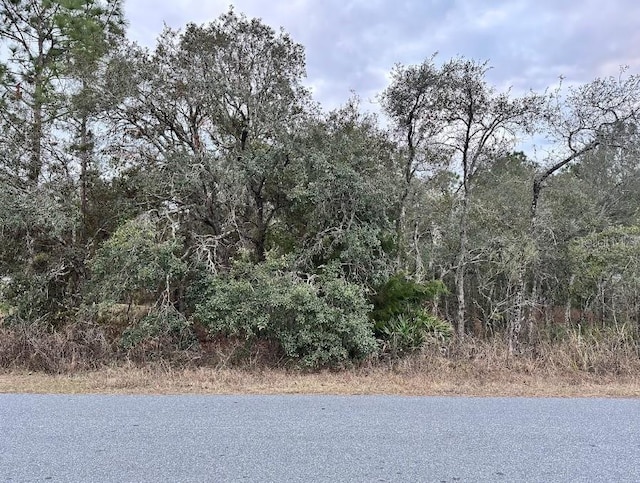 11434 Poorwill Ave, Brooksville FL, 34614 land for sale