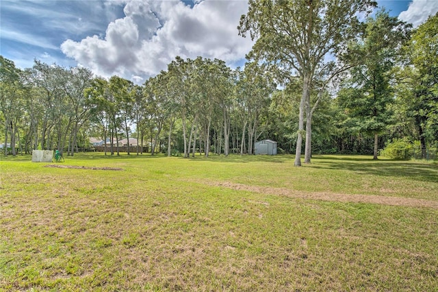 view of yard featuring a shed