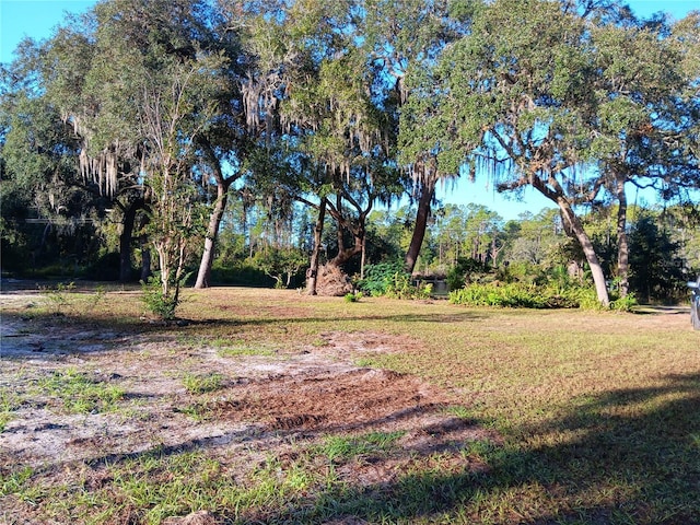 2651 NE 147th Ct, Silver Springs FL, 34488 land for sale