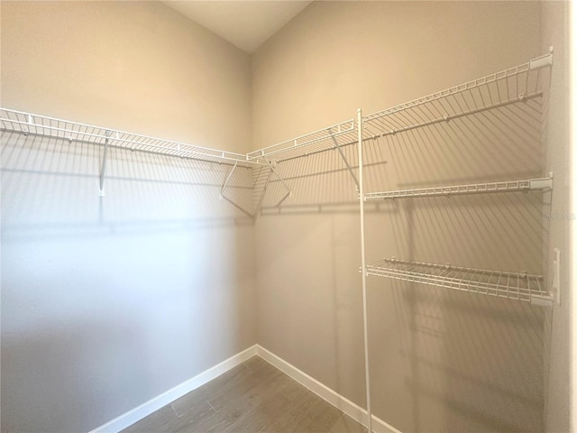 walk in closet with hardwood / wood-style floors