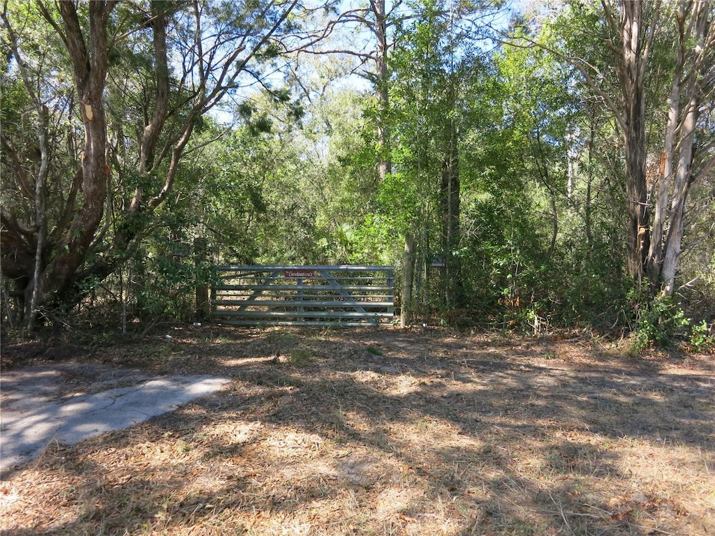 view of gate with fence