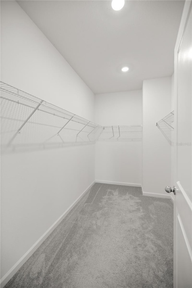 7374 SW 77th Ave, Ocala, FL 34481 - walk in closet with carpet floors
