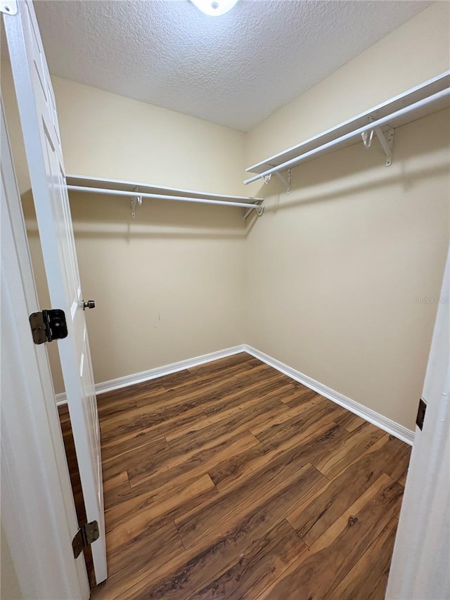 spacious closet featuring dark wood-style floors