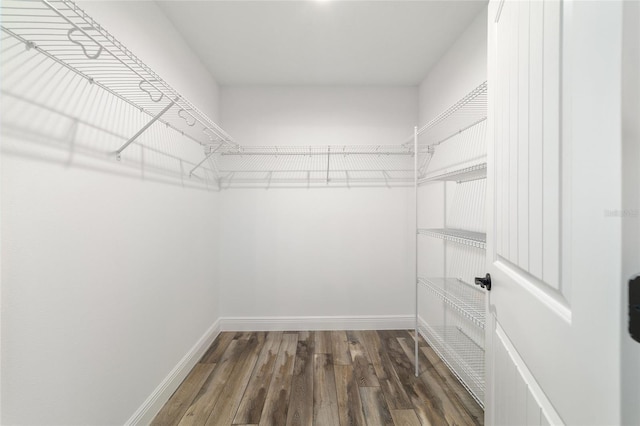 spacious closet featuring dark wood-type flooring