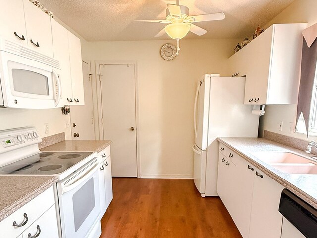 1019 Avalon Ave, Lady Lake, FL 32159 - photo 8