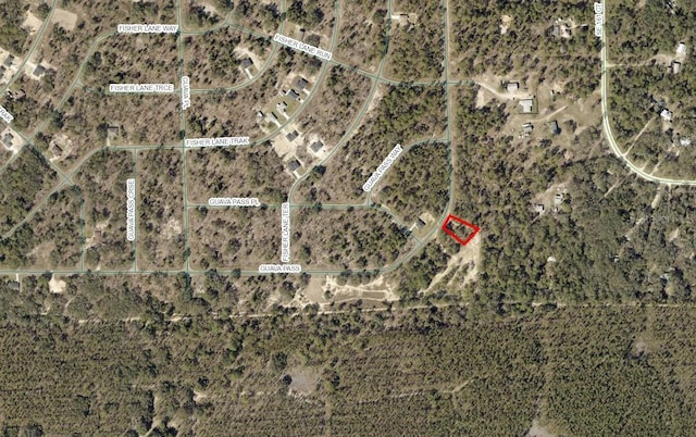 Listing photo 2 for 164 Guava Pass, Ocklawaha FL 32179