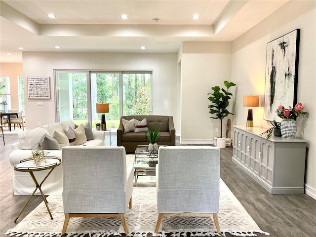 living area featuring baseboards, wood finished floors, a raised ceiling, and recessed lighting