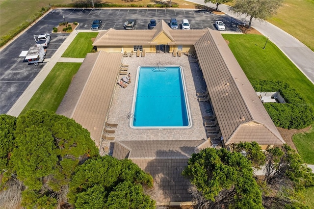 view of swimming pool with a patio area