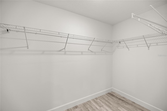 walk in closet with wood finished floors