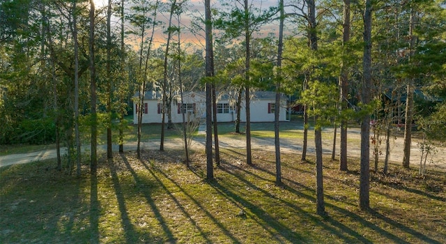 view of yard with driveway