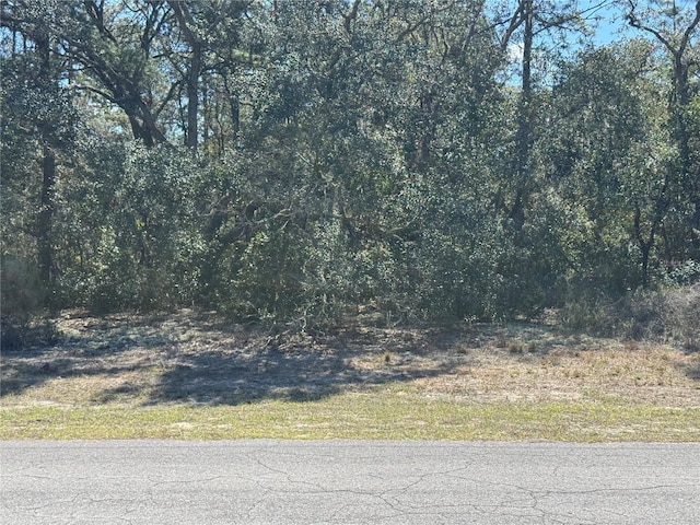 LOT6 SW 146th Lane Rd, Ocala FL, 34473 land for sale