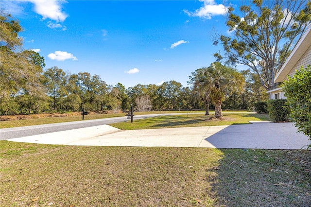 view of yard with driveway