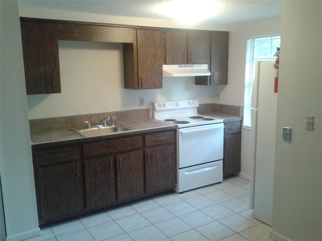 kitchen featuring dark brown cabinetry, white appliances, light tile patterned floors, under cabinet range hood, and a sink