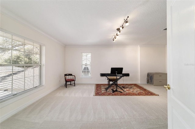 carpeted office space featuring ornamental molding, rail lighting, a textured ceiling, and baseboards