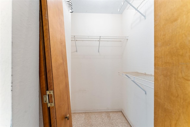 view of walk in closet