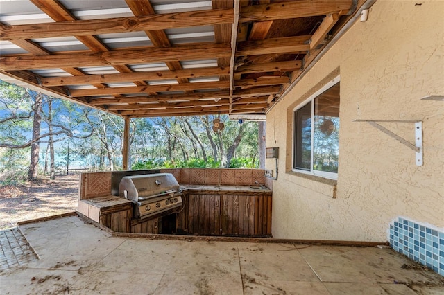 view of patio / terrace with grilling area and an outdoor kitchen