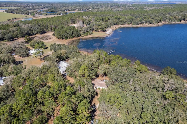 birds eye view of property featuring a water view and a forest view