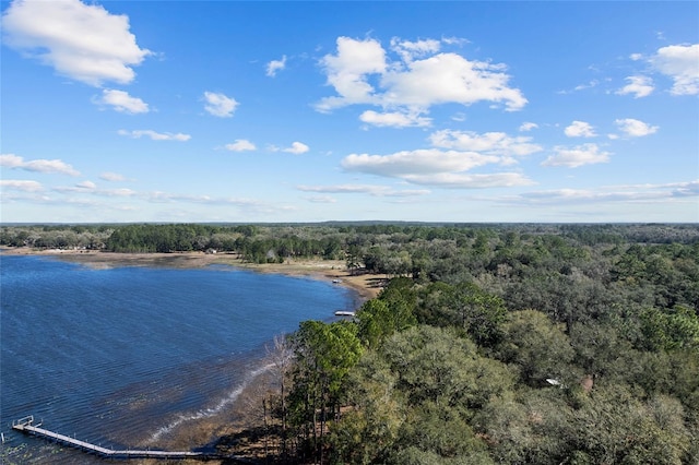 water view with a view of trees