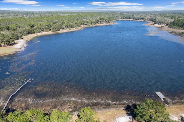 aerial view with a water view and a view of trees