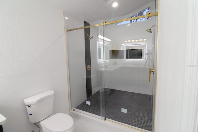 full bathroom featuring a stall shower, vanity, and toilet