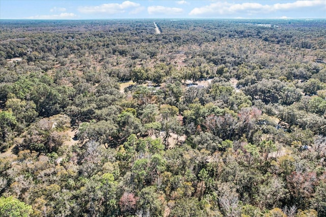 bird's eye view with a forest view