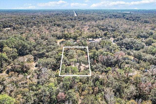 bird's eye view with a view of trees