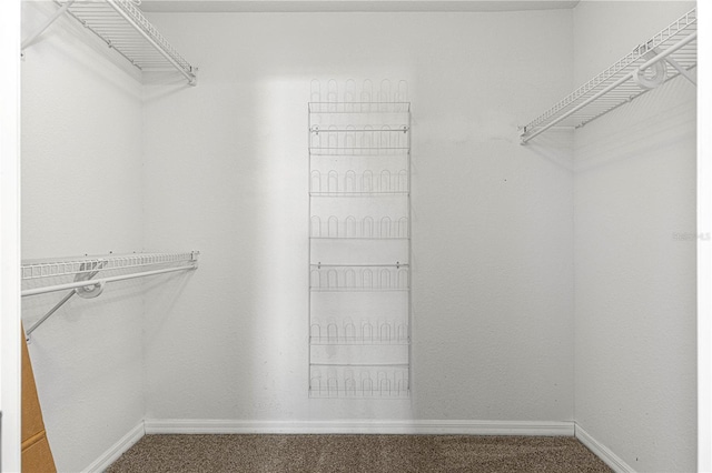 walk in closet featuring carpet floors