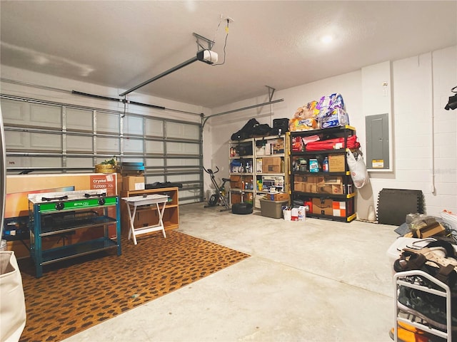 garage featuring a garage door opener and electric panel