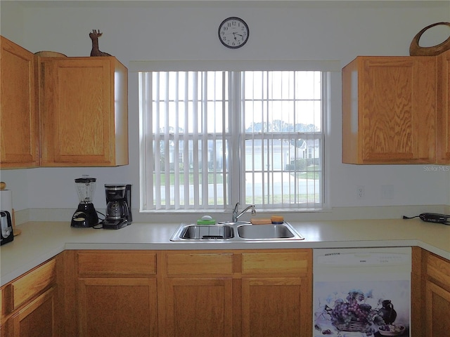 kitchen featuring a sink, a wealth of natural light, light countertops, and dishwasher