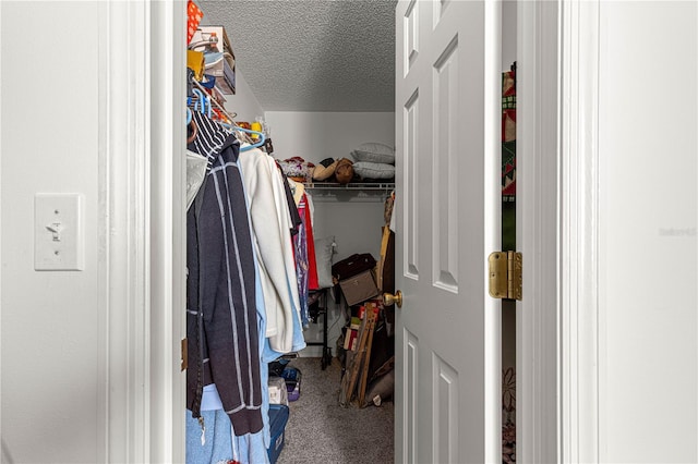 walk in closet with carpet floors