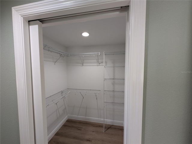 spacious closet featuring wood finished floors