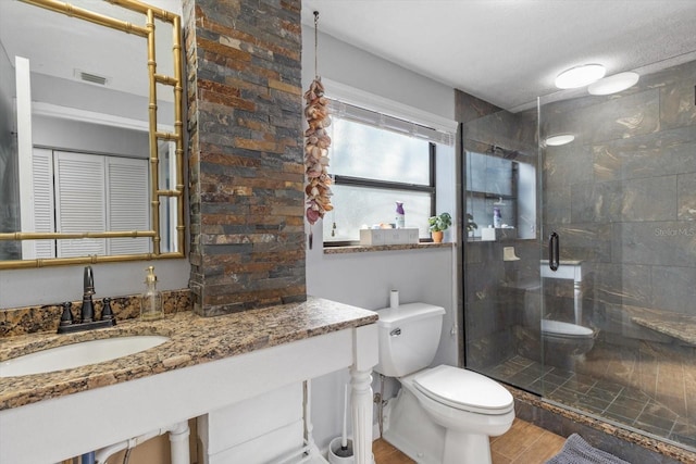 bathroom featuring toilet, a stall shower, visible vents, and a sink