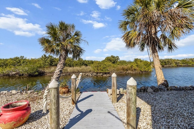 dock area with a water view