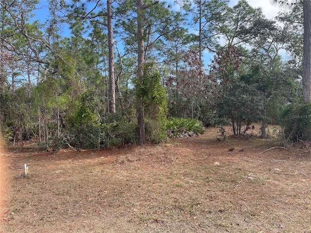 1811 S Gleneagle Ter, Lecanto FL, 34461 land for sale