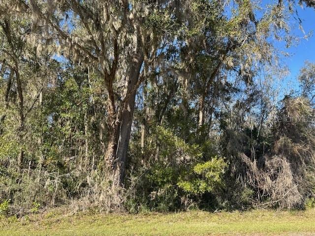 Listing photo 2 for TBD NW 86th St, Chiefland FL 32626