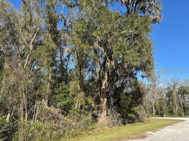 Listing photo 3 for TBD NW 86th St, Chiefland FL 32626