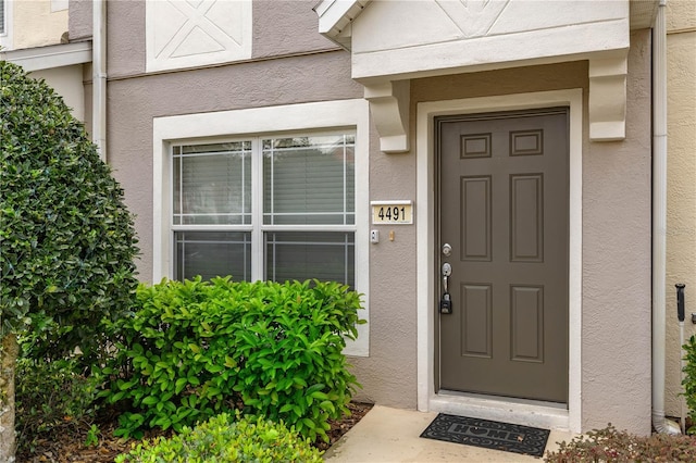 view of exterior entry featuring stucco siding