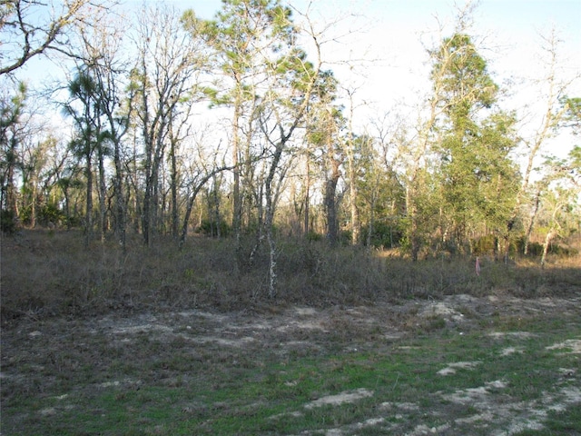 LOT18 SW 62nd St, Ocala FL, 34481 land for sale