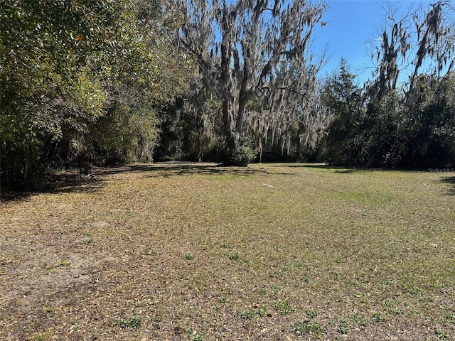 116 Dr Martin Luther King Jr Ave, Inverness, FL 34450 - photo 4