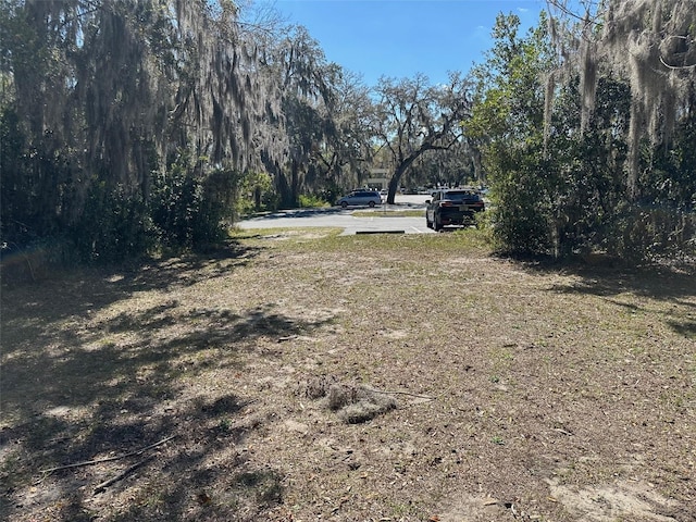 116 Dr Martin Luther King Jr Ave, Inverness, FL 34450 - photo 6