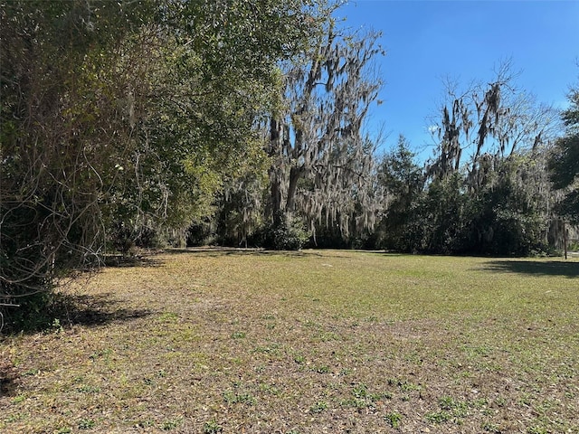 116 Dr Martin Luther King Jr Ave, Inverness, FL 34450 - photo 8