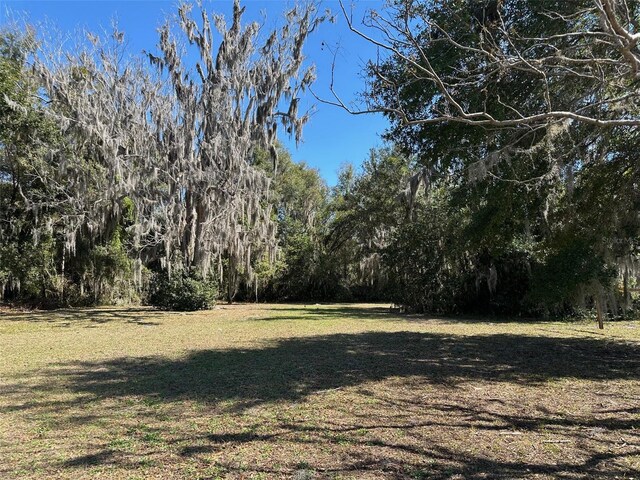 116 Dr Martin Luther King Jr Ave, Inverness, FL 34450 - photo 9