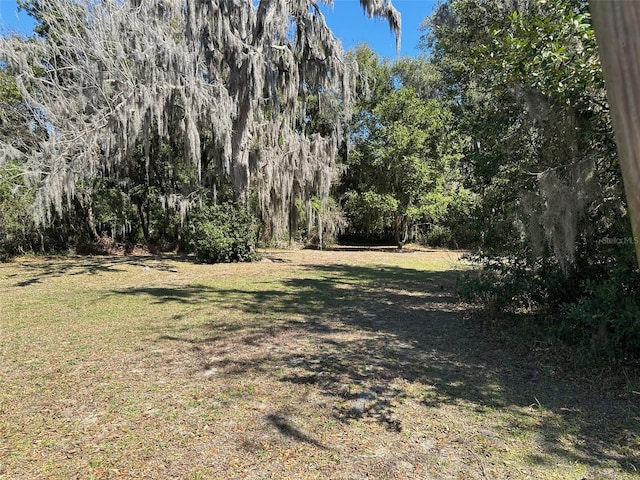 116 Dr Martin Luther King Jr Ave, Inverness, FL 34450 - photo 12