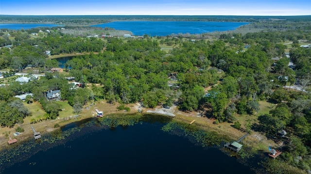 TBD SE 54th St, Ocklawaha FL, 32179 land for sale