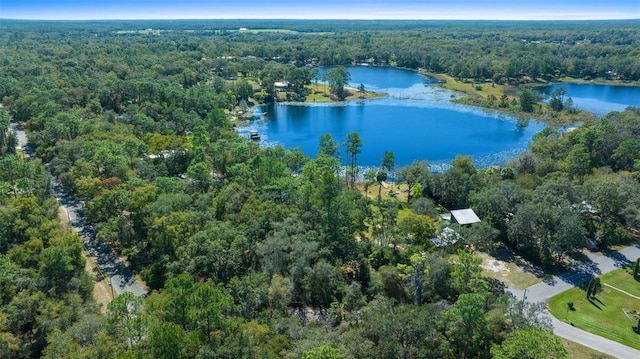 Listing photo 2 for TBD SE 54th St, Ocklawaha FL 32179