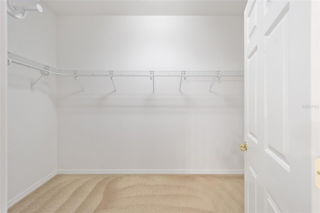 spacious closet featuring light colored carpet