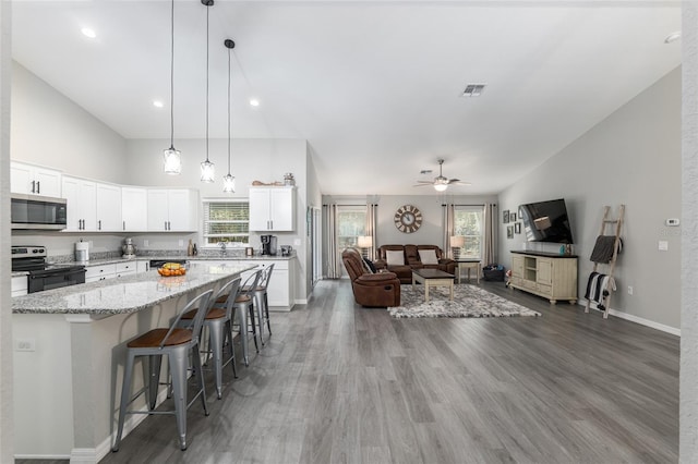 kitchen featuring visible vents, appliances with stainless steel finishes, open floor plan, a healthy amount of sunlight, and wood finished floors