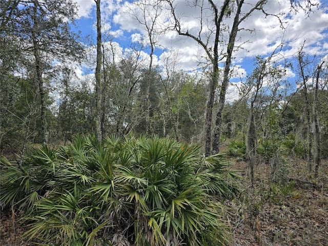 00 NE 115th Ave, Williston FL, 32696 land for sale