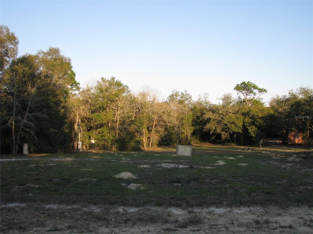 6737 SW 166th Terrace Rd, Ocala FL, 34481 land for sale